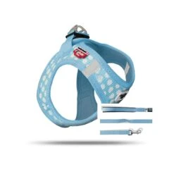 Curli Vest Puppy Set Skyblue-circles | Gr. M Hundegeschirr F. Welpen