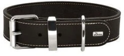 Hunter Aalborg Special Schwarz 55 M | 40-48 Cm Hundehalsband